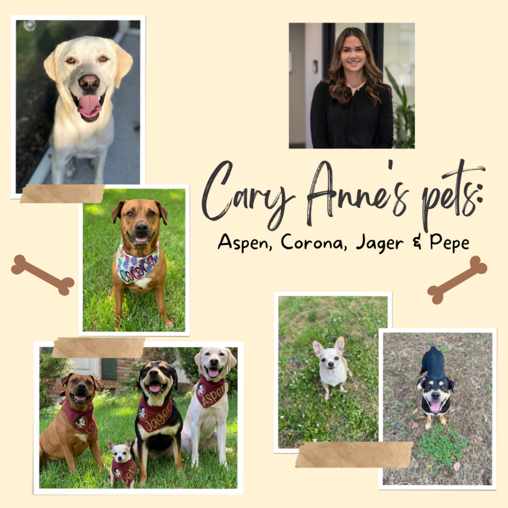 Meet The Pets Of Capital Investment Advisors